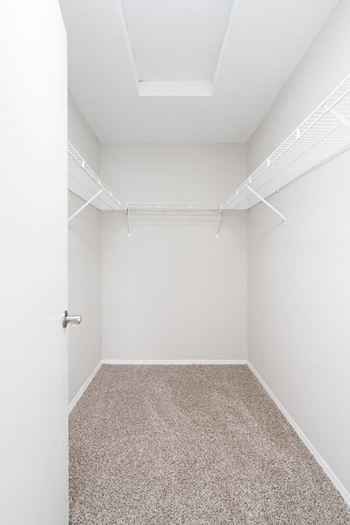 Large Closets with Shelves